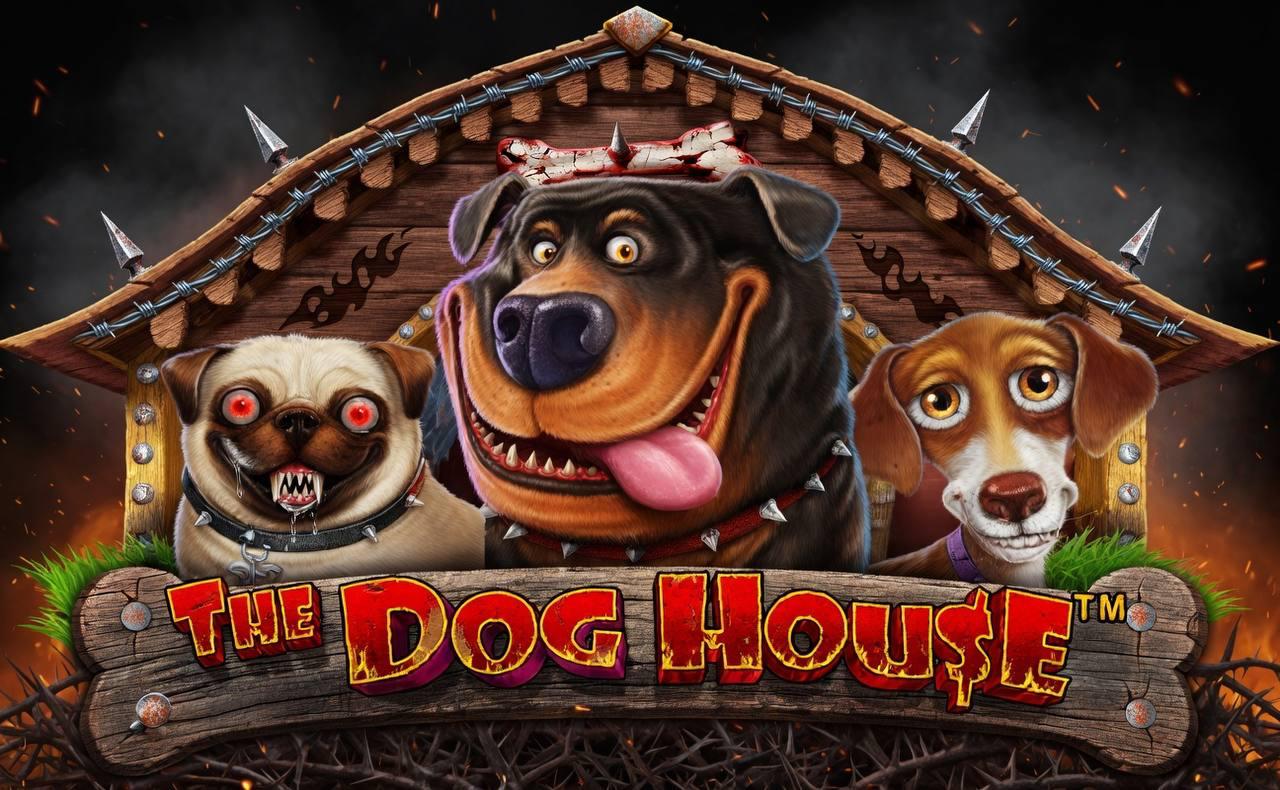 The Dog House